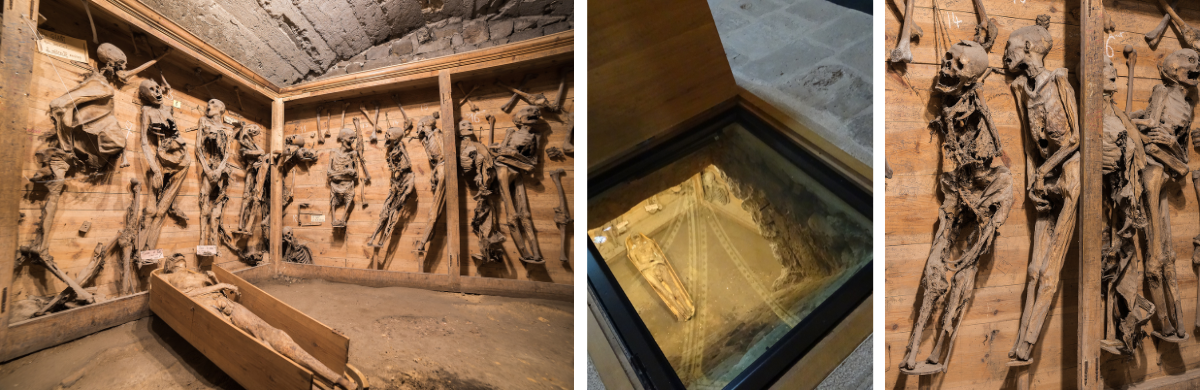 Sans titre (1200 x 390 px)